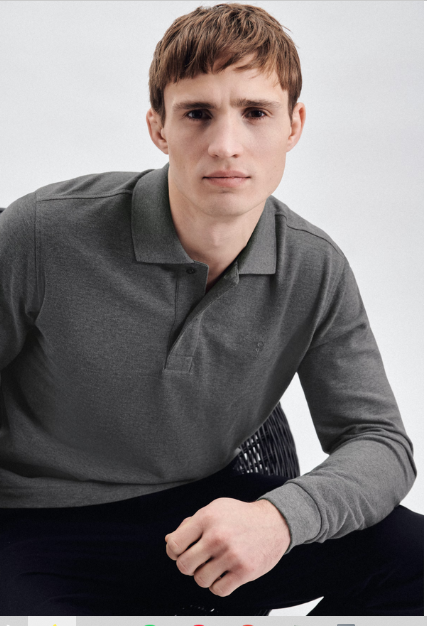 Seidensticker Grey long sleeve polo